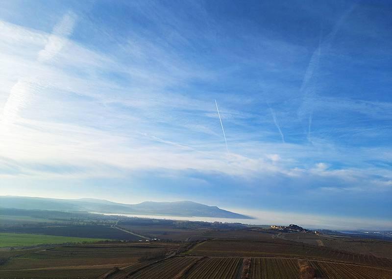 Sklep Vino Strycek Guest House Velke Bilovice ภายนอก รูปภาพ