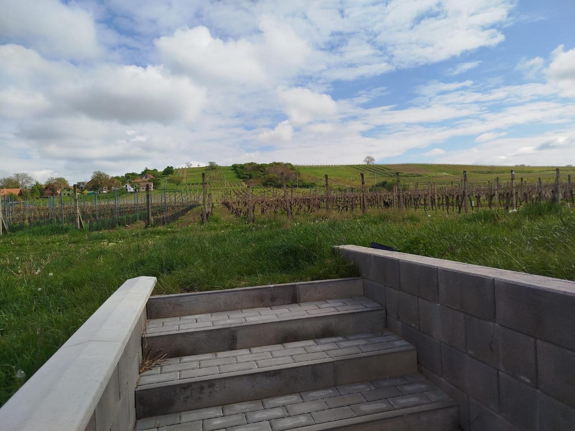 Sklep Vino Strycek Guest House Velke Bilovice ภายนอก รูปภาพ