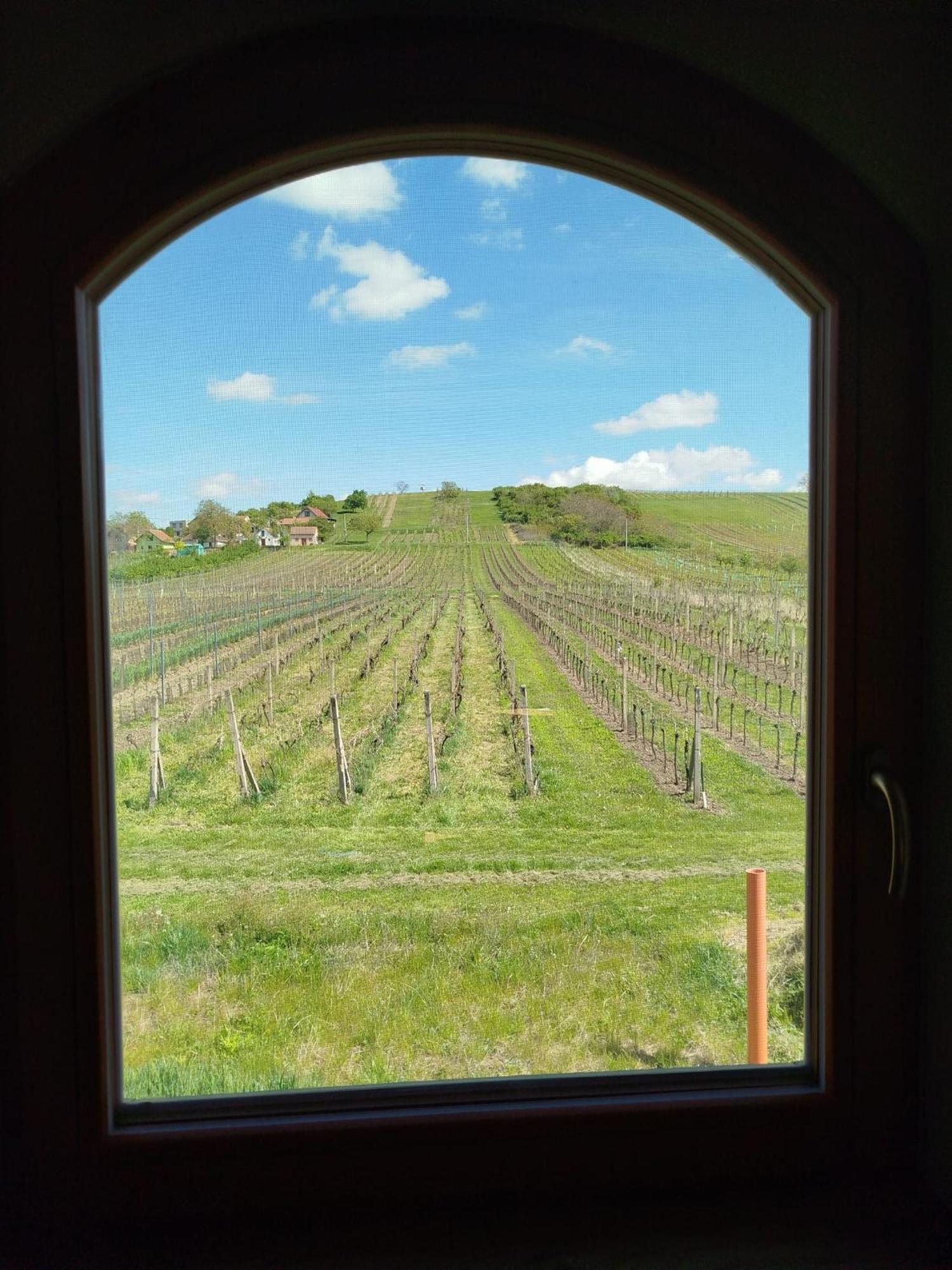 Sklep Vino Strycek Guest House Velke Bilovice ภายนอก รูปภาพ